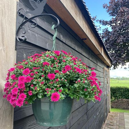 De Barg Villa Vinkenbuurt Exteriör bild