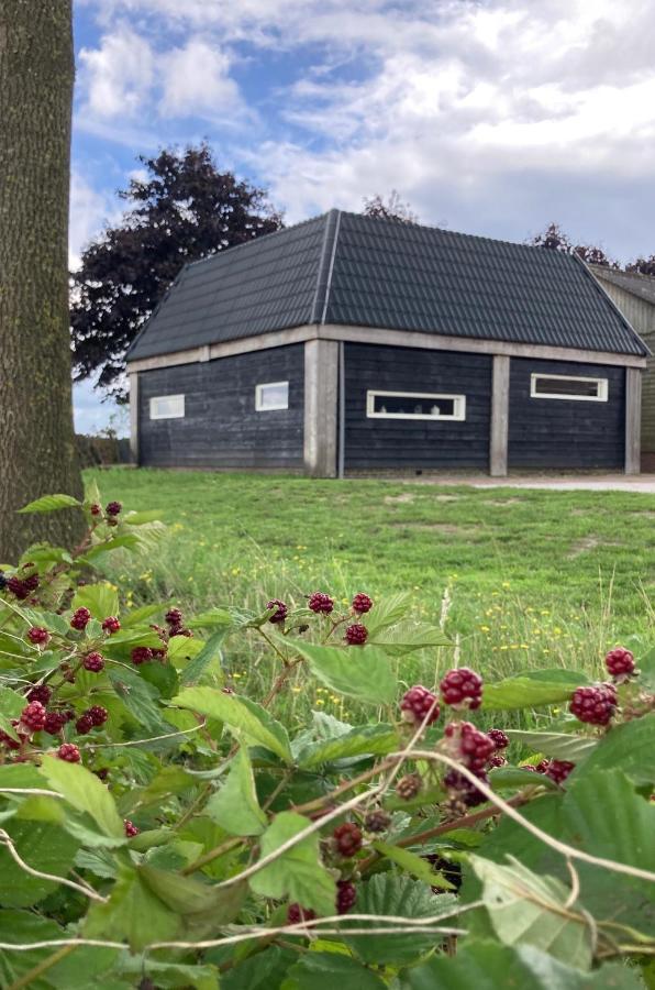 De Barg Villa Vinkenbuurt Exteriör bild