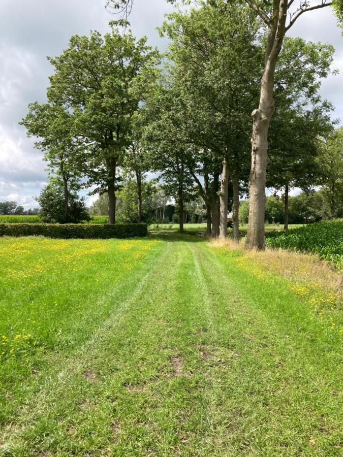 De Barg Villa Vinkenbuurt Exteriör bild