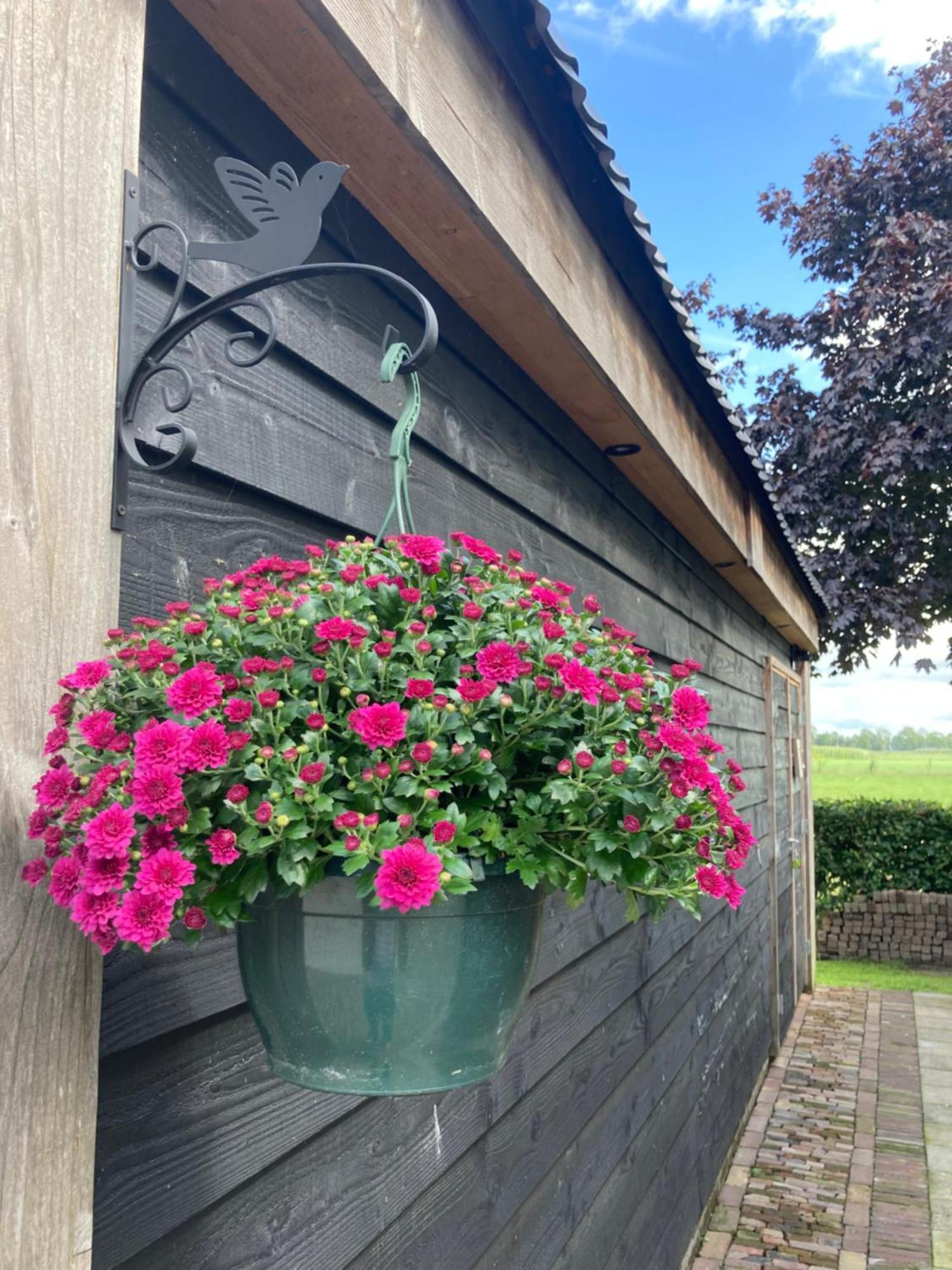 De Barg Villa Vinkenbuurt Exteriör bild